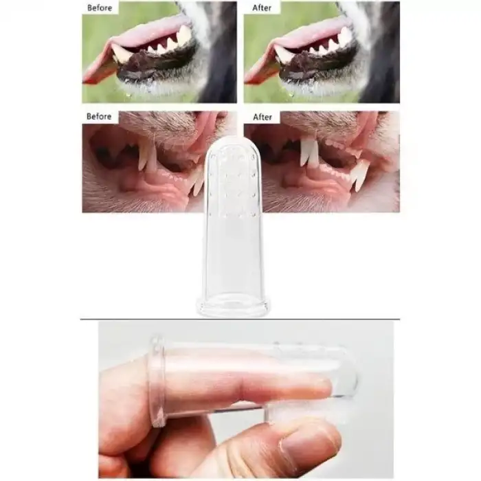 AsilTech Kedi Köpek Diş Temizleme Fırçası