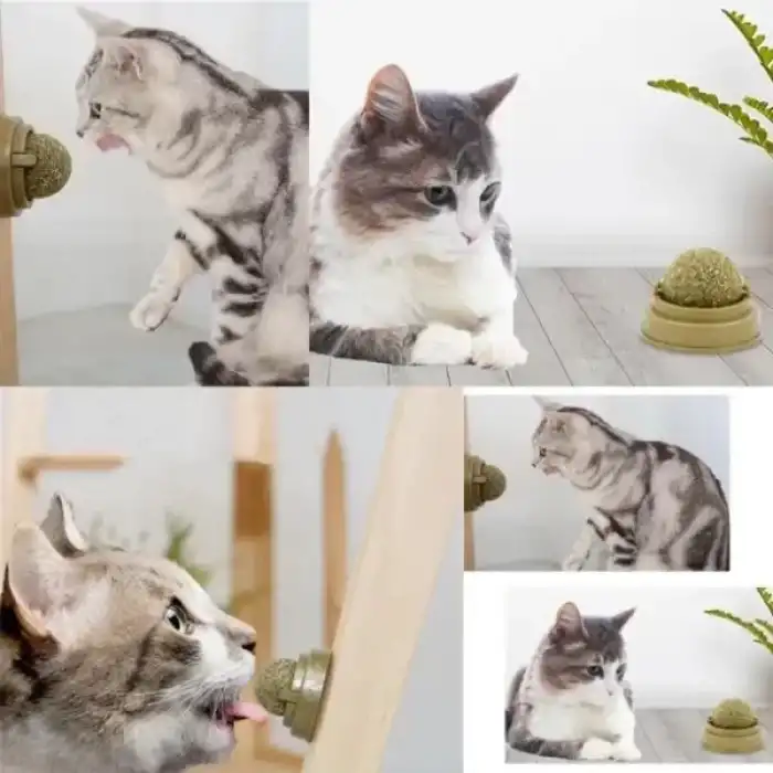 AsilTech Kedi Nanesi Oyun Topu