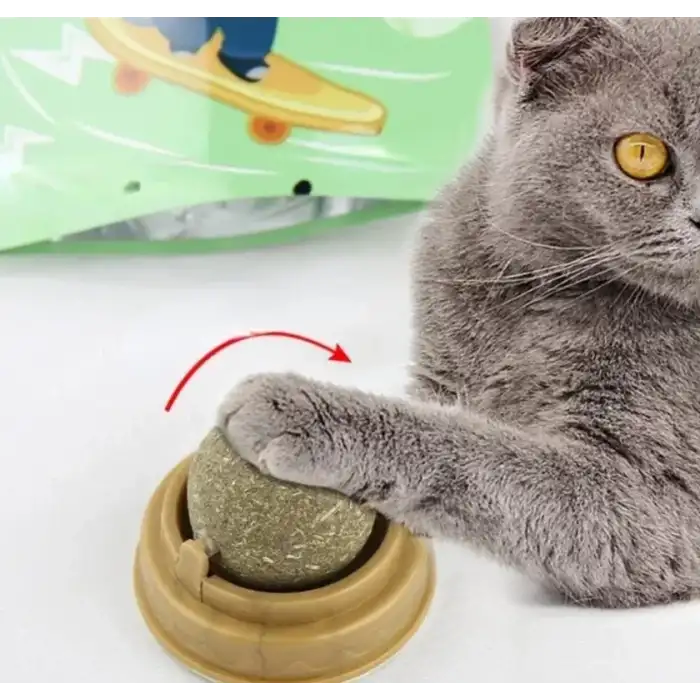 AsilTech Kedi Otu Oyun Topu