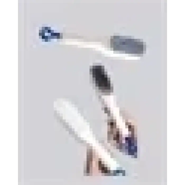 AsilTech KENDİNİ TEMİZLEYEN TARAK