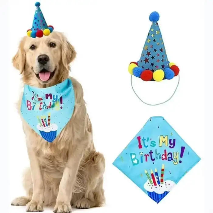 AsilTech Köpekler İçin Doğum Günü Partisi Seti