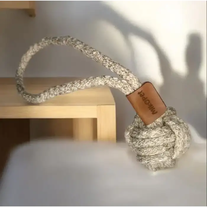 AsilTech Mikopet Köpek Oyun Topu