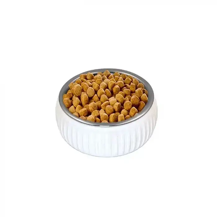 AsilTech Mikopet Organik Seramik Mama Kabı Beyaz