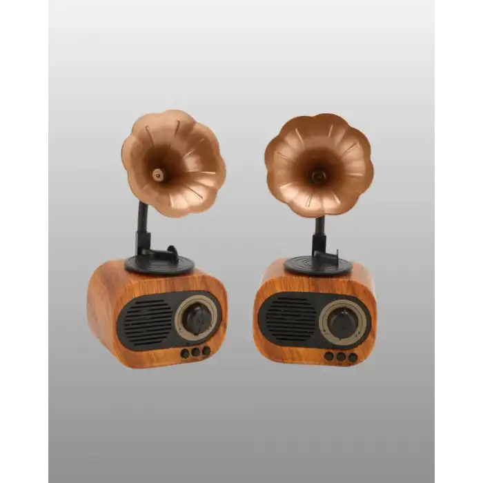 AsilTech Mini Nostaljik Bluetooth Hoparlör FM Radyo 8 Saat Batarya Yeni Nesil