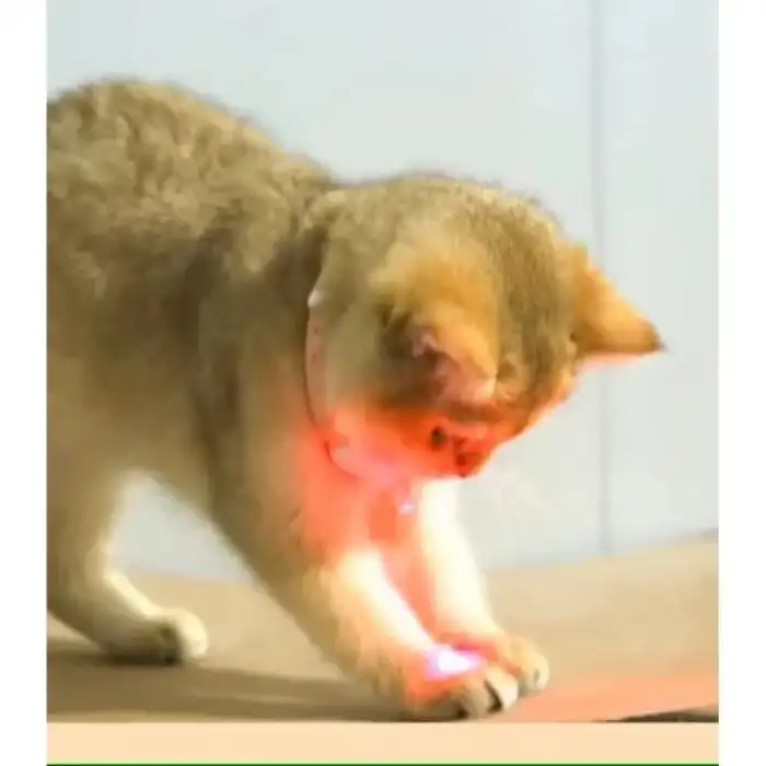 AsilTech Otomatik Lazer Oyun Tasması