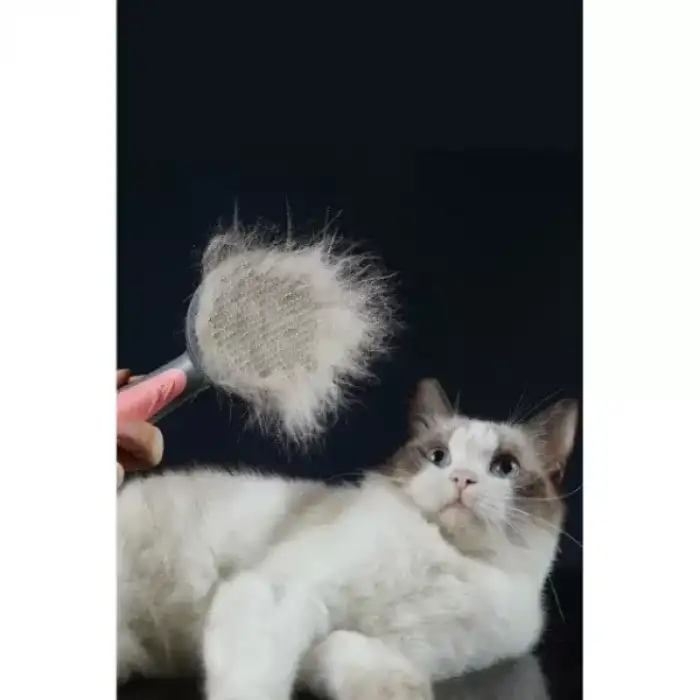 AsilTech Otomatik Tuşlu Kendini Temizleyen Kedi Köpek Tarağı