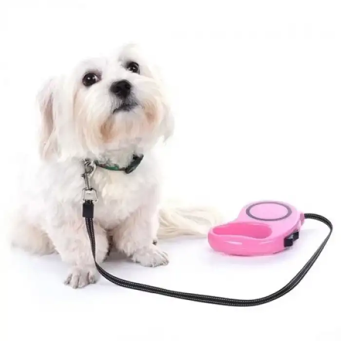 AsilTech Otomatik Uzayan Köpek Tasması 3 METRE