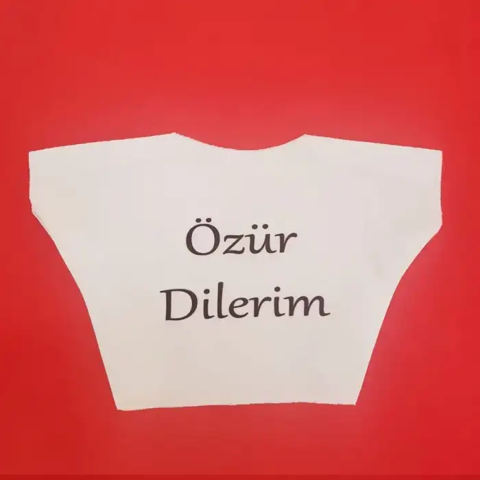 AsilTech Özür Dilerim Yazılı Peluş Oyuncak Ayı Tişörtü