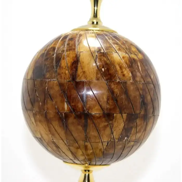 AsilTech Pirinç Dünya Küre Kemikli