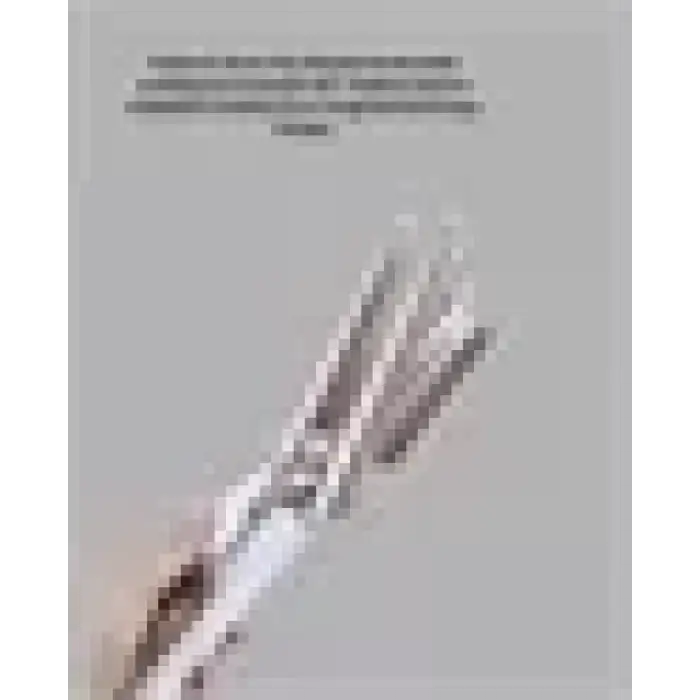 AsilTech Profesyonel Kullanıma Uygun Bukle Maşası