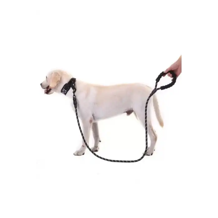AsilTech Reflektörlü Köpek Tasması 130 Cm.