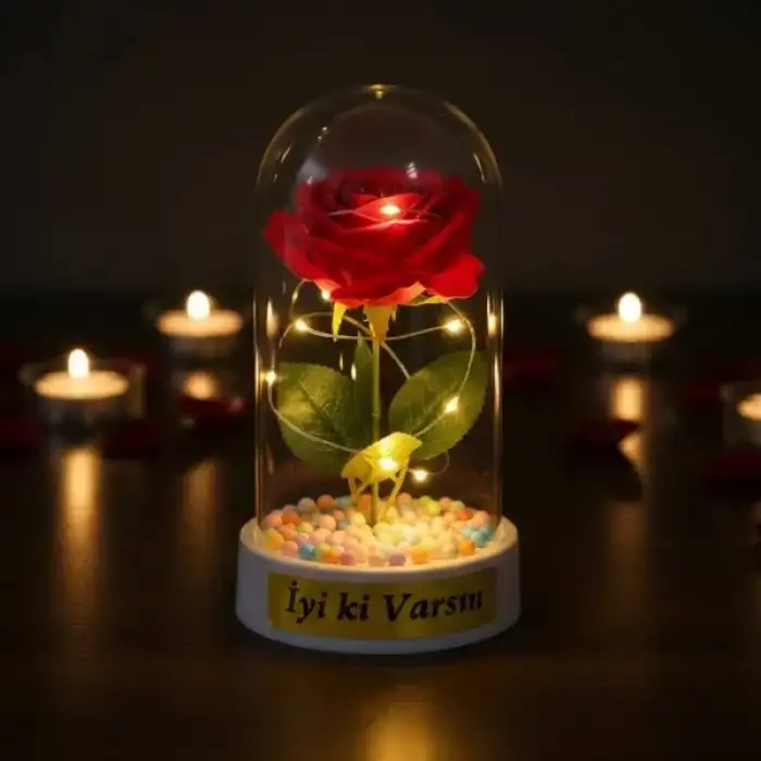 AsilTech Renkli Toplu Ledli Gül Fanus