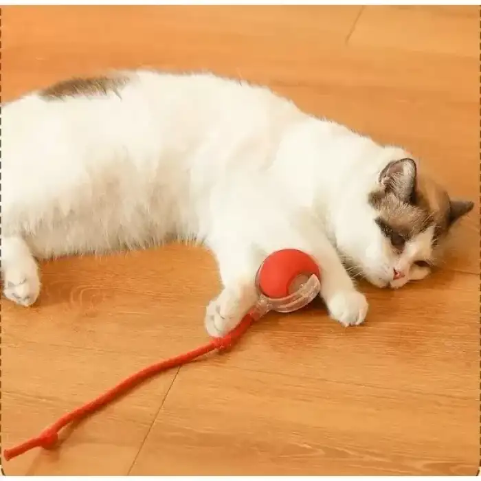 AsilTech Şarjlı Kedi Oyuncağı