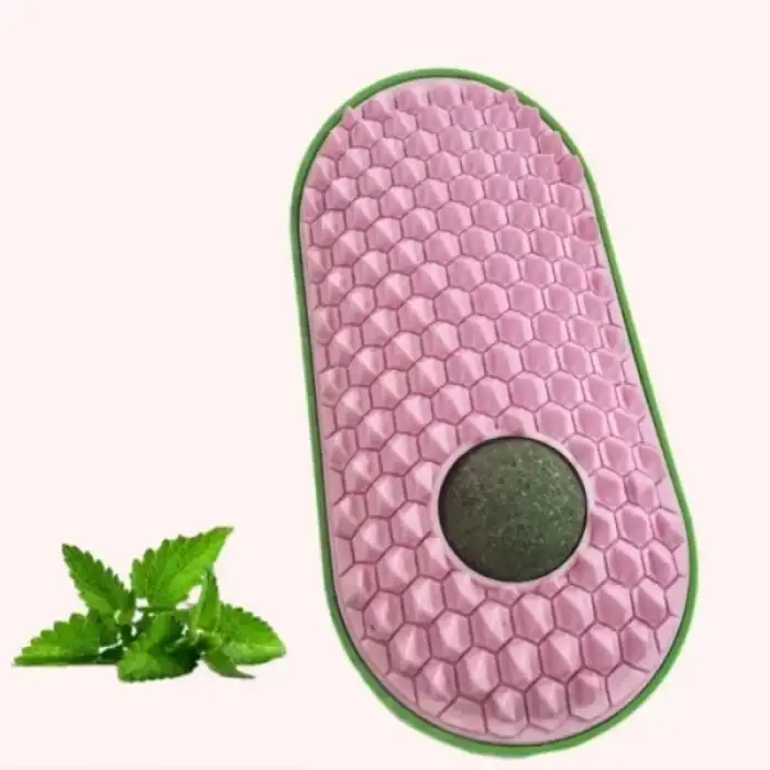 AsilTech Silikon Kaşıyıcılı Kedi Otu