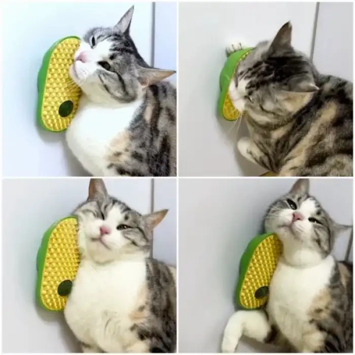 AsilTech Silikon Kaşıyıcılı Kedi Otu