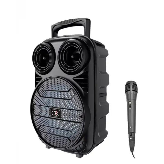 AsilTech Taşınabilir Bluetooth Speaker Mikrofonlu Karaoke Hoparlör RGB Işıklı 6.5 İnç Güçlü Ses