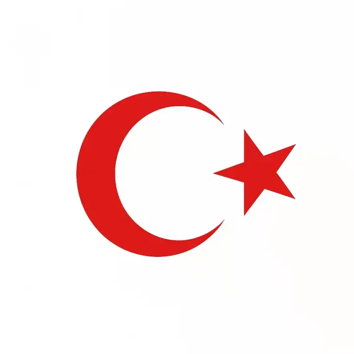 AsilTech Türk Bayrağı Oto Sticker Kırmızı 23x17 cm