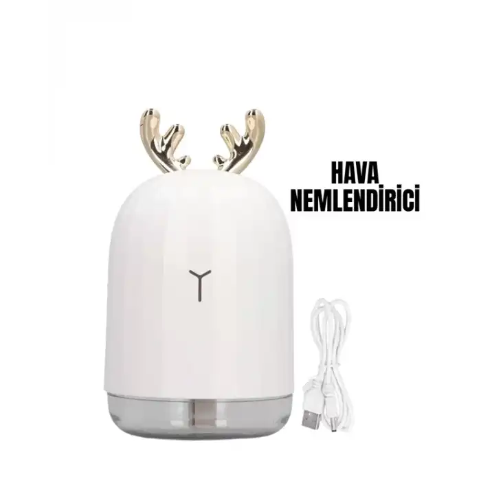 AsilTech TVSN HAVA NEMLENDİRİCİSİ