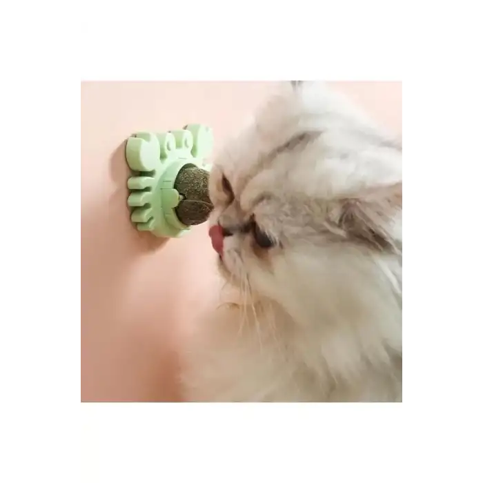 AsilTech Yengeç Kedi Otu Oyun Topu