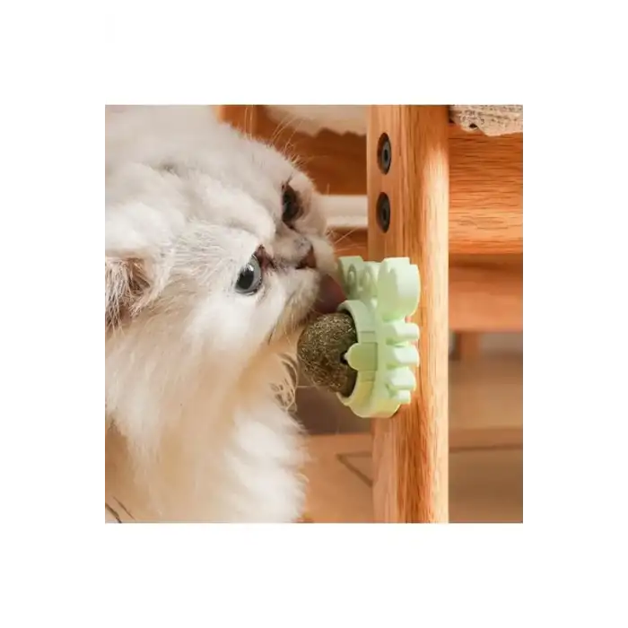 AsilTech Yengeç Kedi Otu Oyun Topu