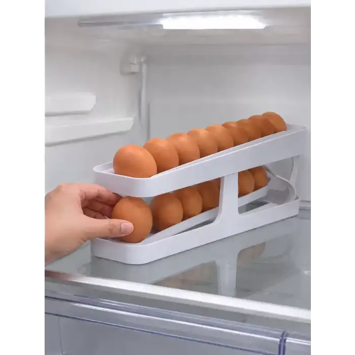 AsilTech YUMURTA DÜZENLEYİCİ