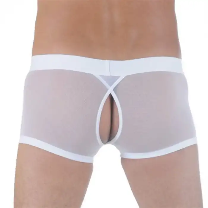 Giyim  Br291122 Transparan Arkası Açık Mini Boxer