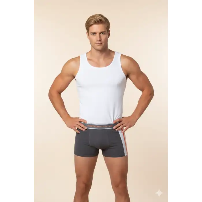 Giyim Erkek  Modal Boxer 1080