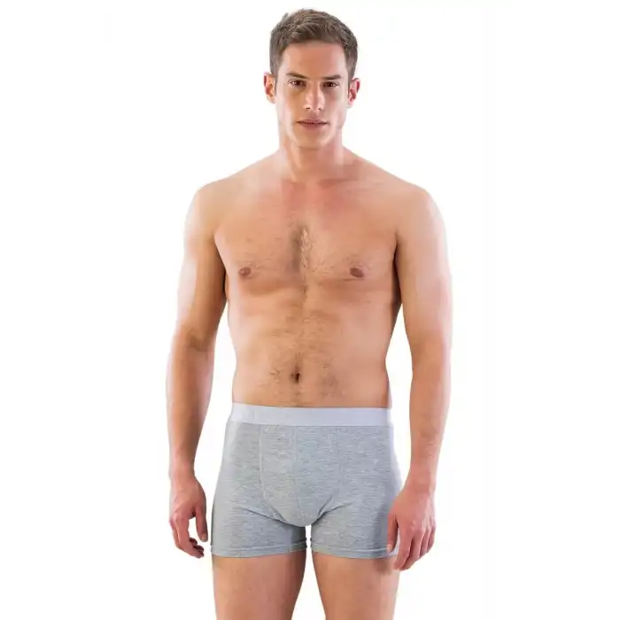 Giyim Gri Mı Emay 6800 Erkek Boxer
