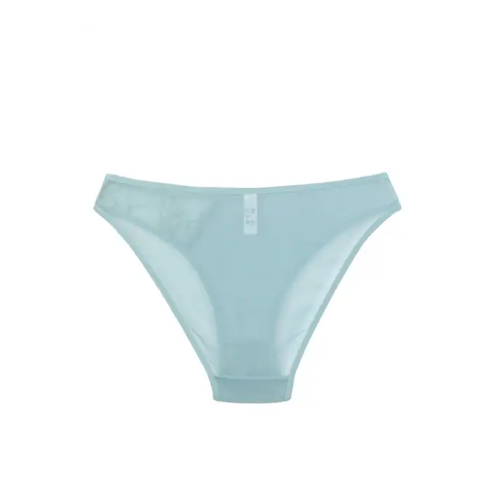 Kadın Mavi Dantel Detaylı Transparan 2li Slip