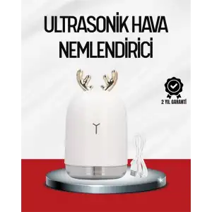 AsilTech El Tipi USB Mini Soğuk Mist Nemlendirici 220 ml Tank