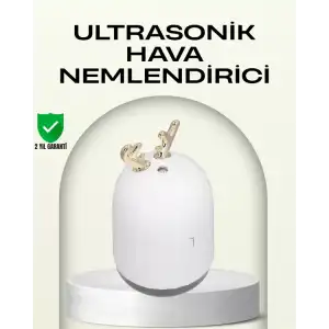 AsilTech ABS+PP Malzemeli Taşınabilir 220 ml USB Mist Nemlendirici