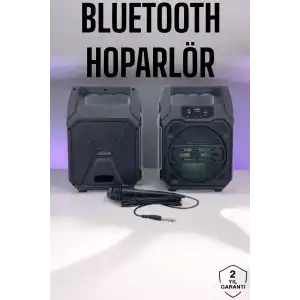 AsilTech 6.5 İnç Kablosuz Hoparlör Bluetooth Bağlantılı Yüksek Ses Kaliteli