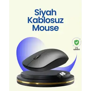 AsilTech Ayarlanabilir DPI Özellikli Mouse – Sessiz, Estetik ve Uyumlu