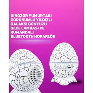 AsilTech Bluetooth Hoparlör Özellikli 7 Renkli Gece Aydınlatması