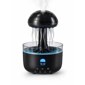 AsilTech BWRV73 NEMLENDİRİCİ