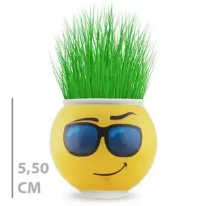 AsilTech Çim Adam Saksı Emoji Figürlü 1 Adet