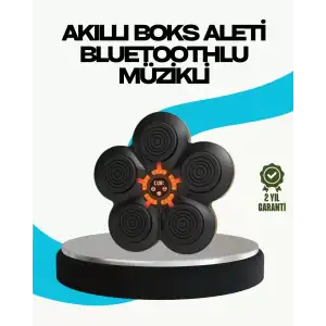 AsilTech Ev Tipi Akıllı Boks Duvar Paneli Müzikli Bluetoothlu Refleks Geliştirme Cihazı