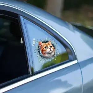 AsilTech Fulcar Sarman Araç Stickerı