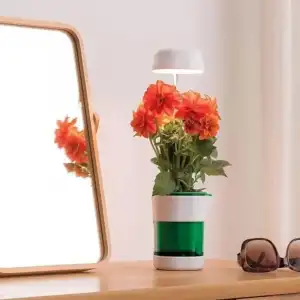 AsilTech Hızlı Bitki Yetiştirme Saksısı