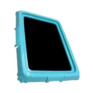 AsilTech Köpek Eğitim Tuvaleti