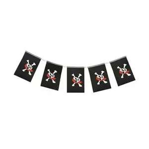 AsilTech Korsan Partisi Bayrakları