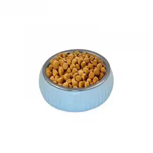 AsilTech Mikopet Organik Seramik Mama Kabı Mavi