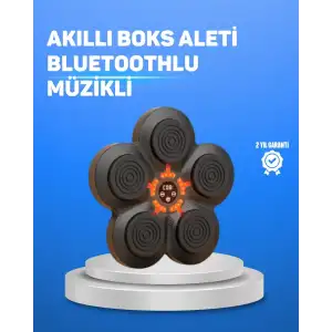 AsilTech Müzikli Boks Duvar Paneli Akıllı Işık Sistemli Refleks ve Kondisyon Aleti
