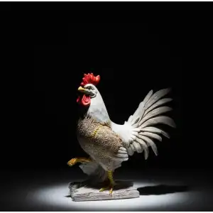 AsilTech Özel Tasarım Polyester Horoz Figürü