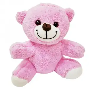 AsilTech Pembe Peluş Oyuncak Ayıcık