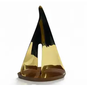 AsilTech Pirinç Yelken Gemi