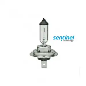 AsilTech Sentinel H7 Halojen Far Ampülü 12 Volt 55Watt