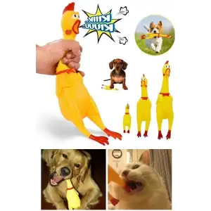 AsilTech Ses Çıkaran Tavuk Kedi Köpek Oyuncağı
