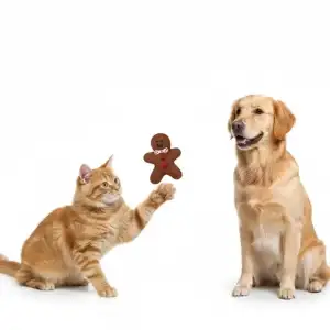 AsilTech Sesli Bisküvi Adam Isırma Oyuncağı