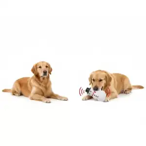 AsilTech Sesli Kardan Adam Tasarımlı Oyuncak